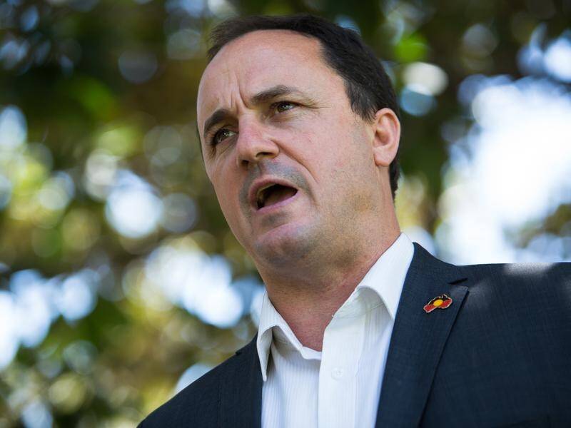 NSW Greens MP Jeremy Buckingham says a review into the party is just a band-aid solution.