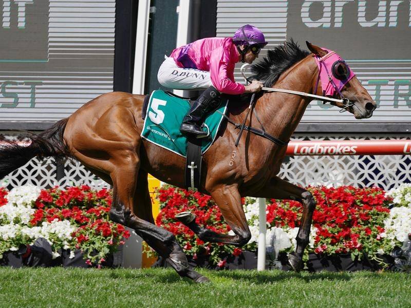 Soul Patch will be out to spoil the party for the favourites in the Australian Guineas.