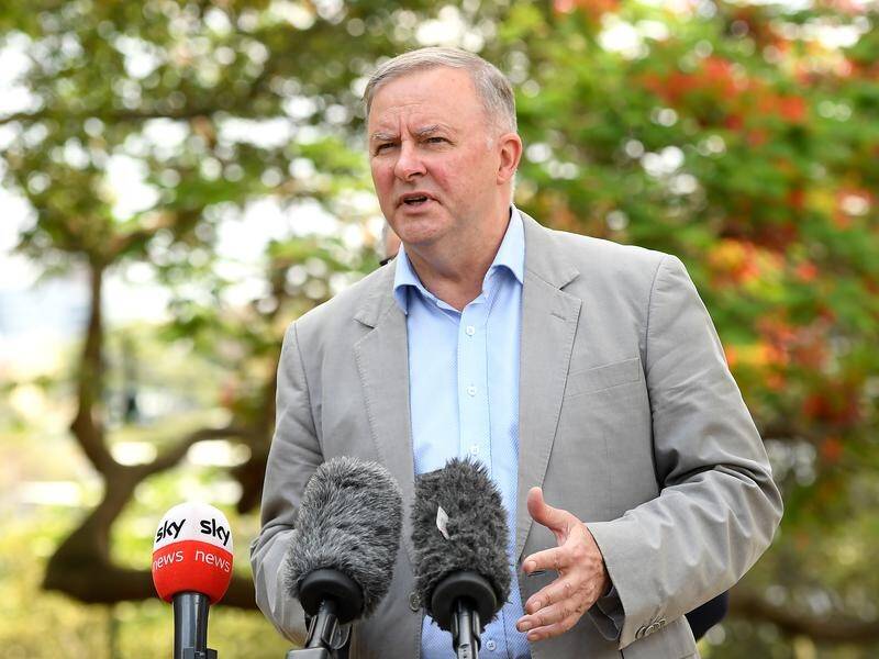 Opposition Leader Anthony Albanese has dismissed "childish" claims to back Adani's Qld coal mine.