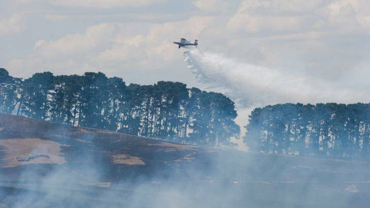 Two waterbombing planes and 11 other aircraft are fighting the Tarago blaze, which is threatening homes. Photo: Elesa Kurtz
