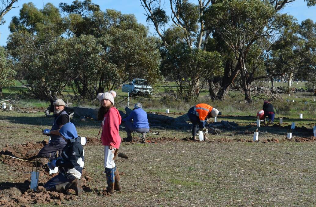 ENVIRONMENT: Volunteers planting trees at Glenlee planting site on Saturday. Picture: CONTRIBUTED