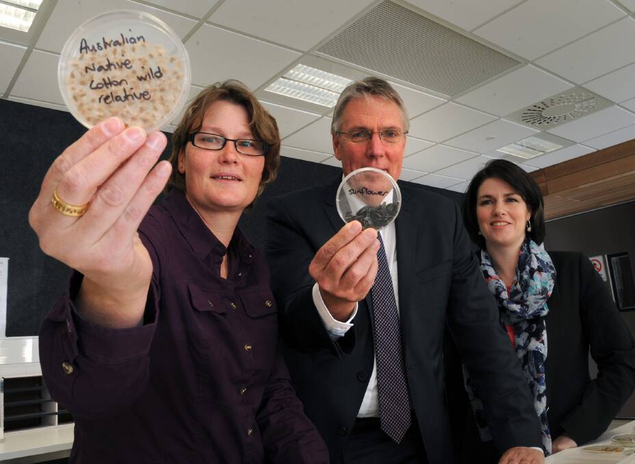 COLLECTION EXTRAORDINAIRE: Genebank leader Sally Norton shows Peter Walsh and Nationals candidate for Lowan Emma Kealy new seeds from Queensland at the Australian Grains Genebank in Horsham. Picture: PAUL CARRACHER