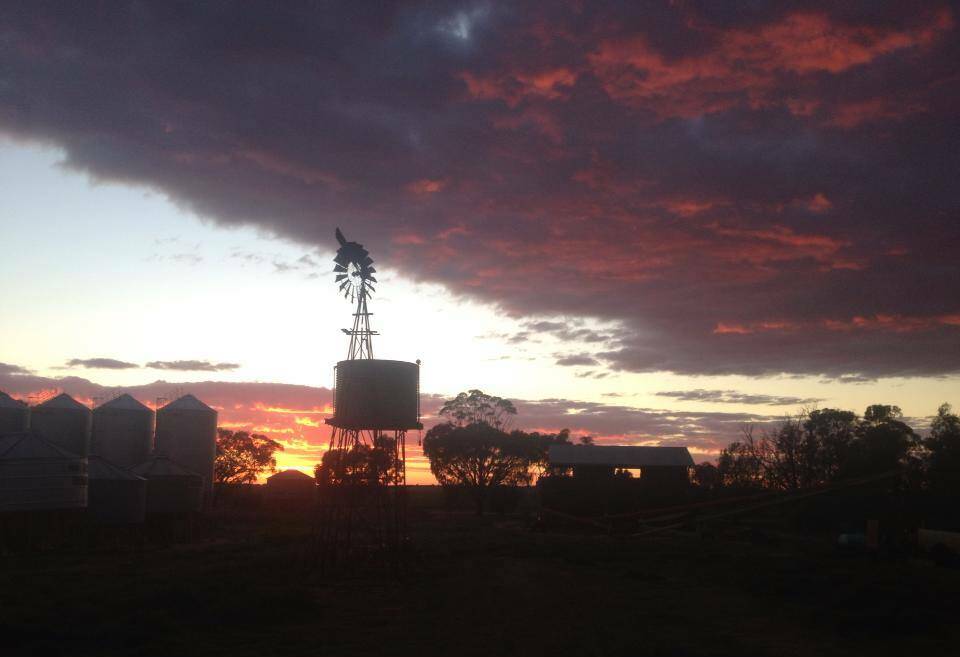 PIC OF THE DAY: Send your photos of the Wimmera to newsdesk@mailtimes.com.au or tag us on Instagram @wimmeramailtimes and use the hashtag #wakeupwimmera to have your pic included! Photo: DALE MAGGS