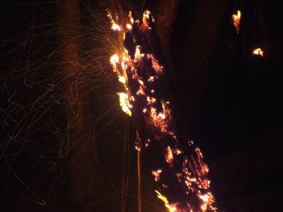 BLACK SATURDAY: Glowing embers on Yanga track. Picture: CONTRIBUTED