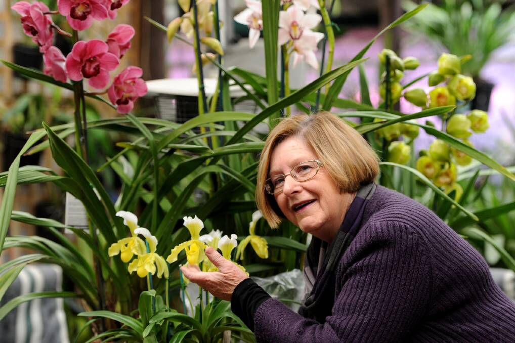 IN BLOOM: Horsham Orchid Society president Joy Scott with some of the flowers that will feature in the group’s annual winter show at the weekend. Picture: SAMANTHA CAMARRI