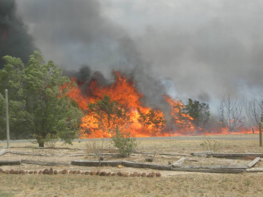 BLACK SATURDAY: Kellie Becker took this photo of trees burning during the February 7, 2009 fire.