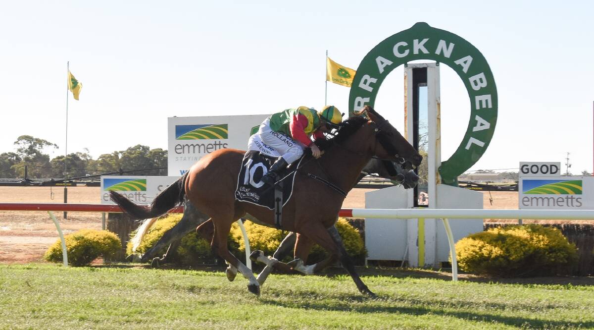CLOSE CALL: Kapaulenko crosses the line on the outside to win the Warracknabeal Cup by a head from Rock Forthe Ladies on Saturday. Picture: RACING PHOTOS