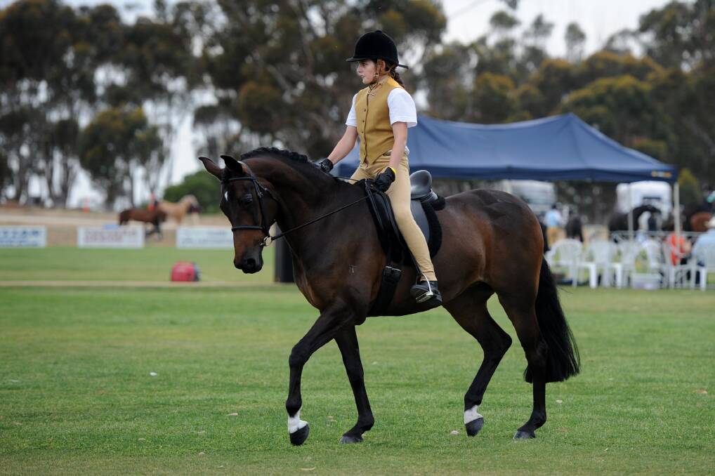 ON SHOW: Morgan Lane riding Penstewart Isabella Amhira at the Kaniva Show in 2015. Since she bought the mare, Morgan has been the only one to ride and train her.