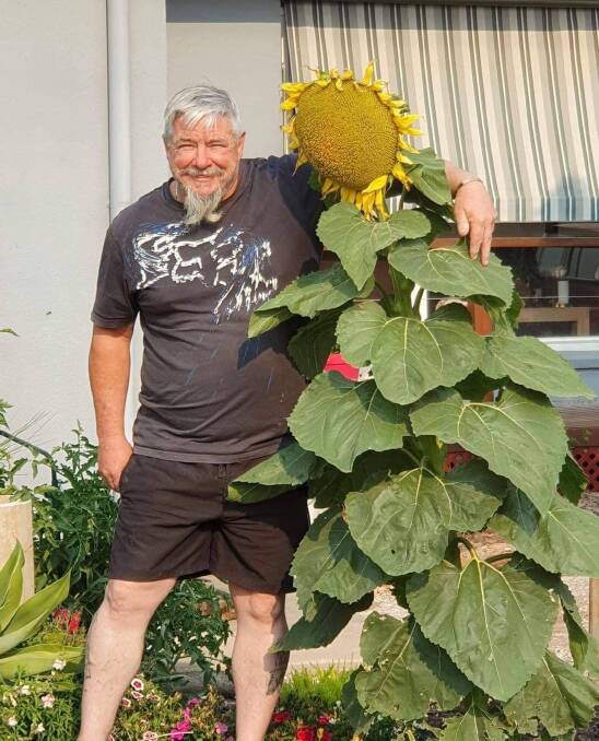 FLOWER POWER: David Moore has been growing sunflowers for the last two years. Picture: CONTRIBUTED