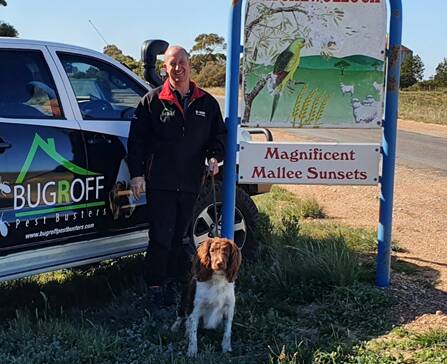 DETECTION DOG: Sherlock has been with Bug R Off Pest Busters for three years. Picture: contributed. 
