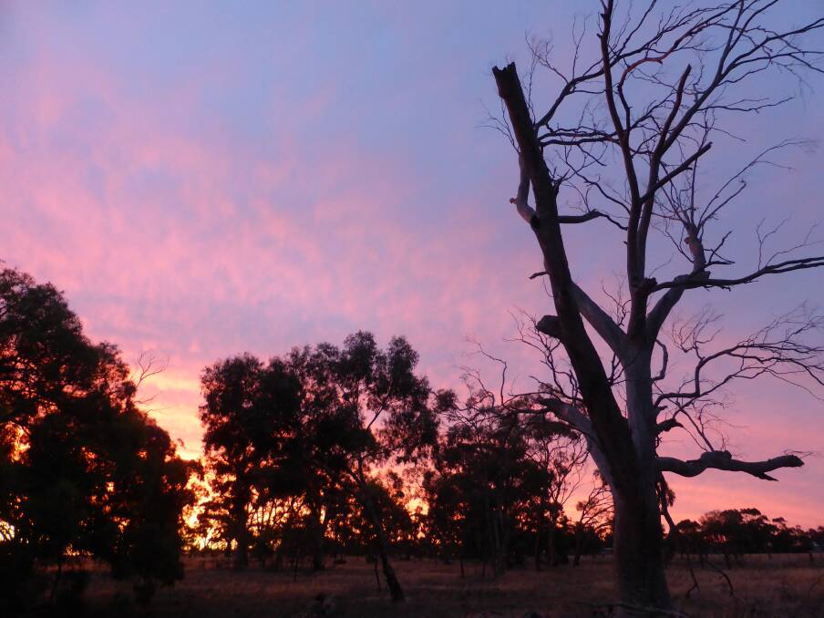 TIME: Jeanie Clark is taking time this holiday period to notice and enjoy the stunning sunsets and beauty around her paddock lands. Photo: JEANIE CLARK