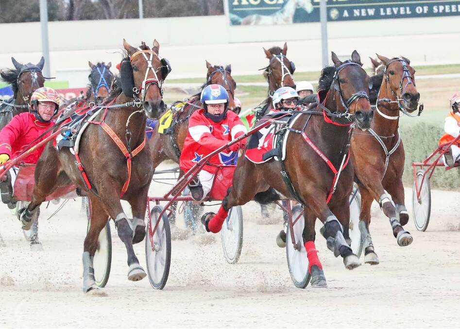 RACE READY: Ainthatrightmacca pictured winning at Melton. The gelding is owned by Ararat trainer Michael Gadsden and his partner Denbeigh Wade who will drive Macca in Sunday's $14,000 St Arnaud Sporting Club Trotters Cup.