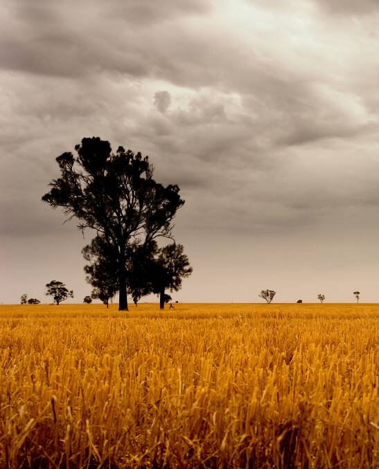 NICE CHANGE: Hindmarsh mayor Ron Ismay says it's nice to be able to write about recent rain received in the region. Photo: SHUTTERSTOCK