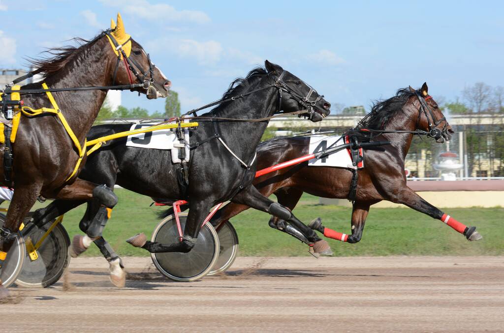 THEY'RE RACING: Stawell plays host to an eight-race card of harness racing action at Laidlaw Park today.