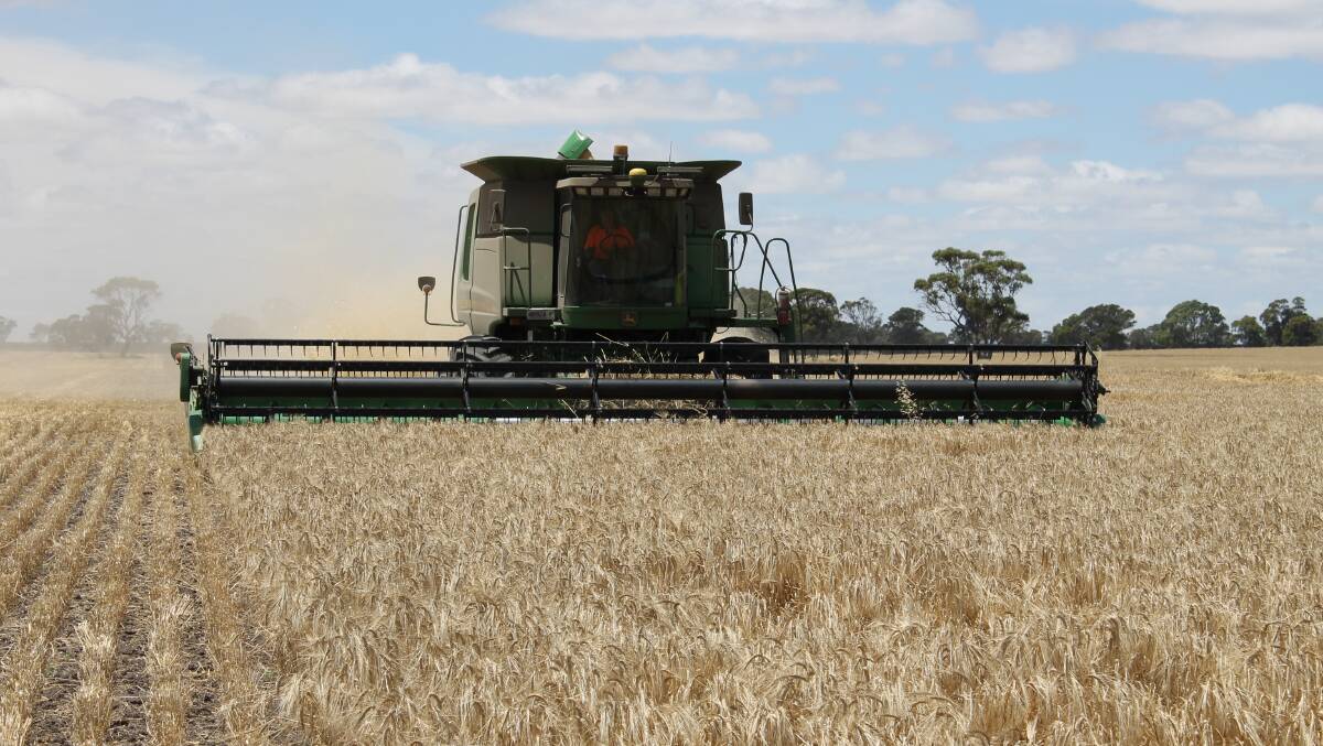 FAIR RESULT: The 35mm of rain received in early October gave the crops enough momentum to deliver a pretty fair result. 