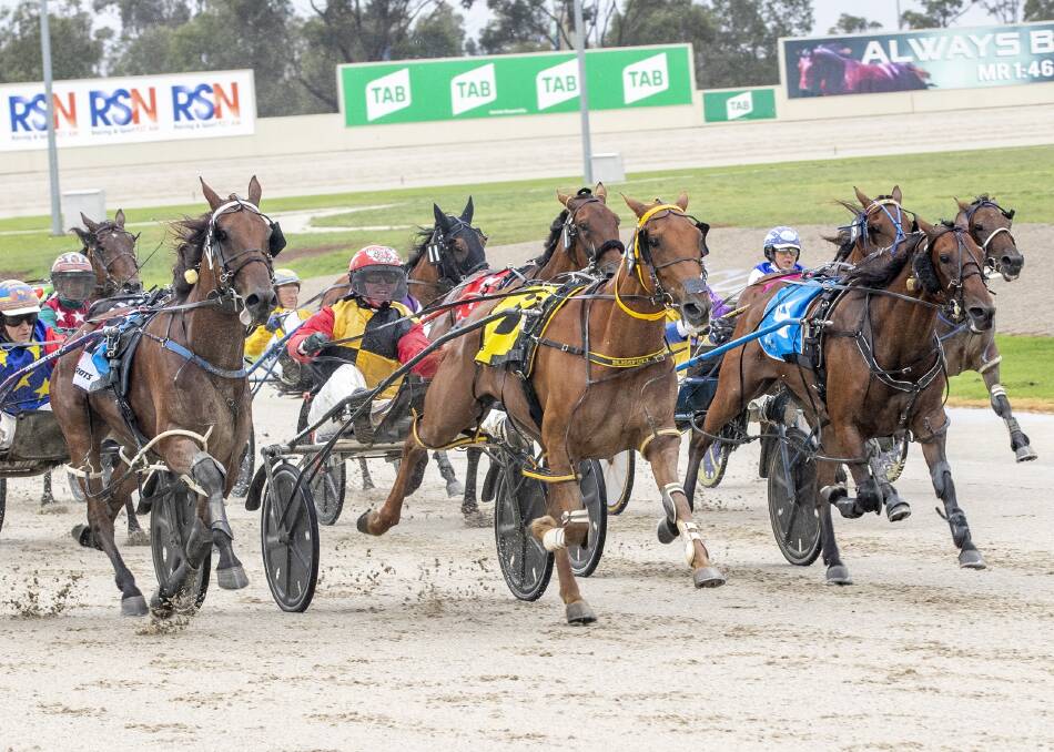 WINNERS ARE GRINNERS: Blissfull Stride with Michael Bellman in control at Melton. Photo: Stuart McCormick 