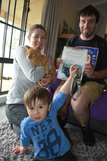 Rhiannah and Andrew Barp, of Farrell Flat, with Mikey, who was found after seven years on Friday, and their son Levi, 2, holding the harness Mikey wore for the entire time. 
