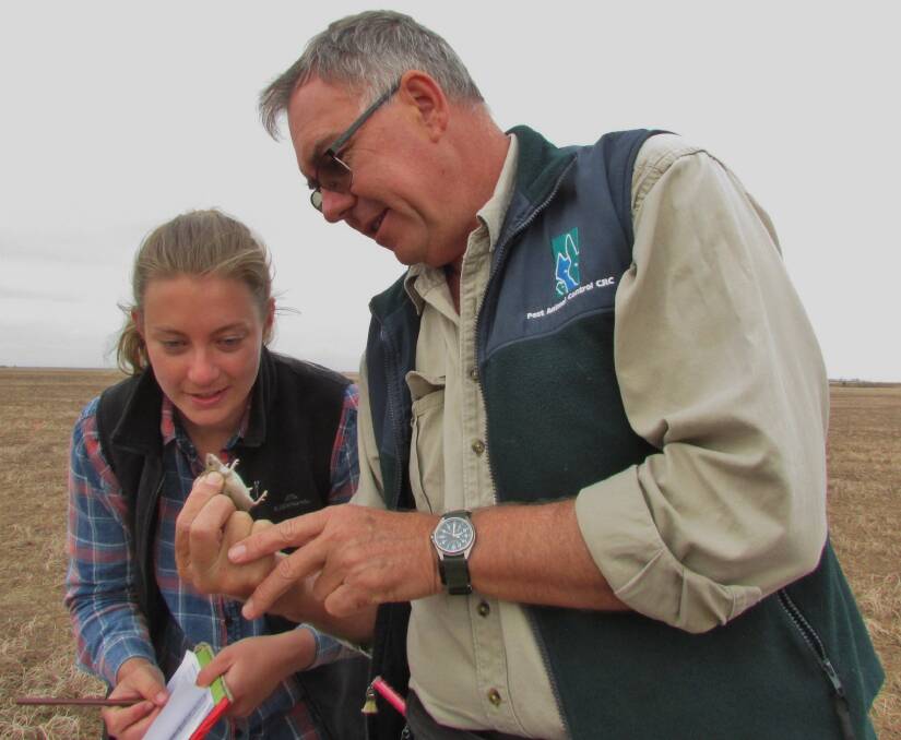 CSIRO researchers Nikki Van de Weyer and Steve Henry record mouse population data during a recent monitoring exercise through south-eastern Australia.