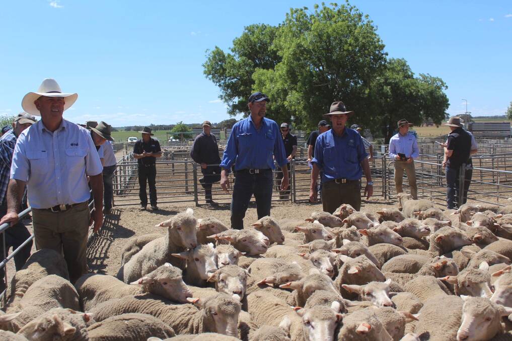 Cracking sale to $116 for Nhill wether lambs