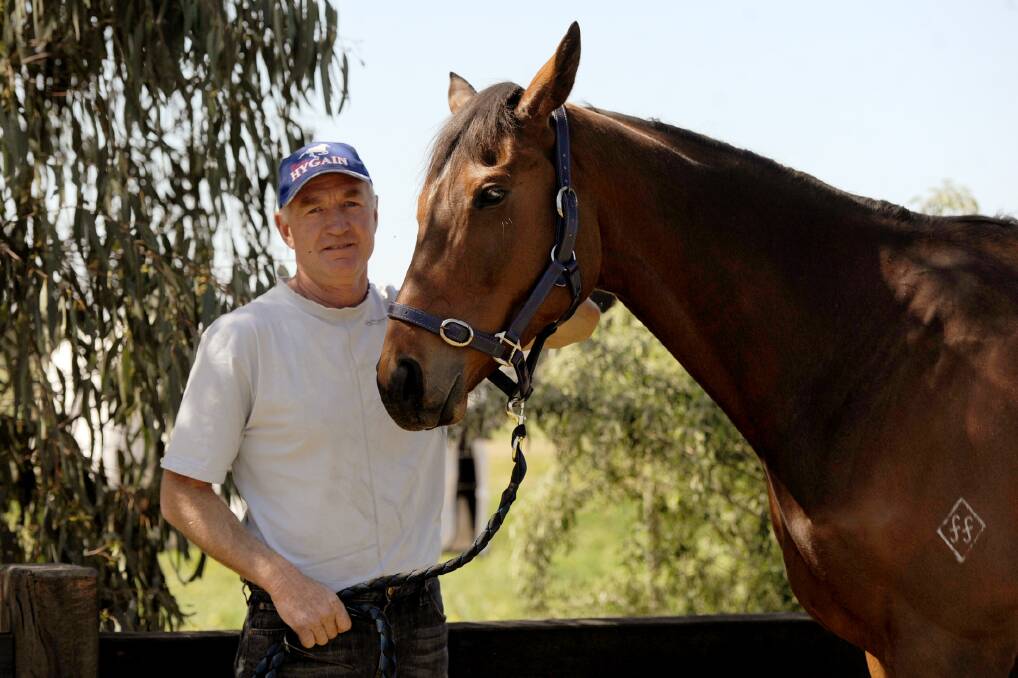 GOOD CHANCE: Horsham trainer Greg Baker will have up to five horses, including five-year-old mare Be Tolerant, at Sunday s Horsham Cup. Picture: SAMANTHA CAMARRI