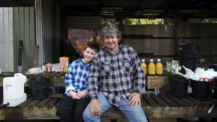 Seeds planted ... Isaac Watkins, 10, shares his father Mark's enthusiasm for the fruit, as well as chatting to customers who visit the orchard.