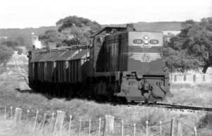 THE LAST TRAIN: The picture by former Mail-Times photographer Ross Schultz shows the last train on the Natimuk-Carpolac line leaving Mitre on its way towards Natimuk in February 1986. Up to 70 trains a week ran on the line to shift the 1968-69 harvest.