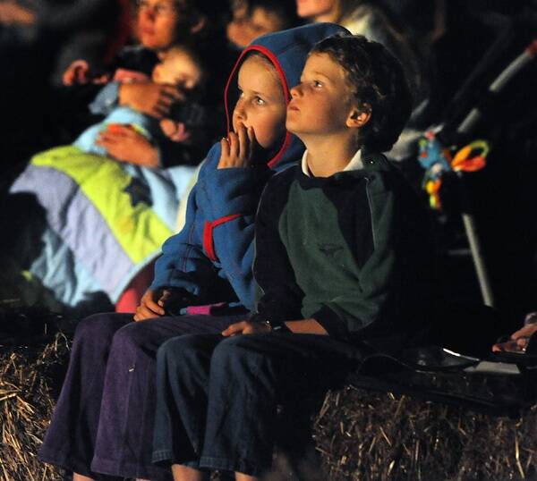 INTRIGUED: Horsham's Sarah Hollaway, 11, and Harry Hollaway, 9, watch 'Flock' at Sawyer Park.