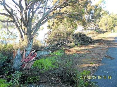 DESTRUCTION: Horsham Rural City Council is seeking information about damage to native trees and vegetation along Polkemmet Road, Courtneys Road, Dahlen Quarry Road, Meyers Road and Lake Road. Picture: HORSHAM RURAL CITY COUNCIL