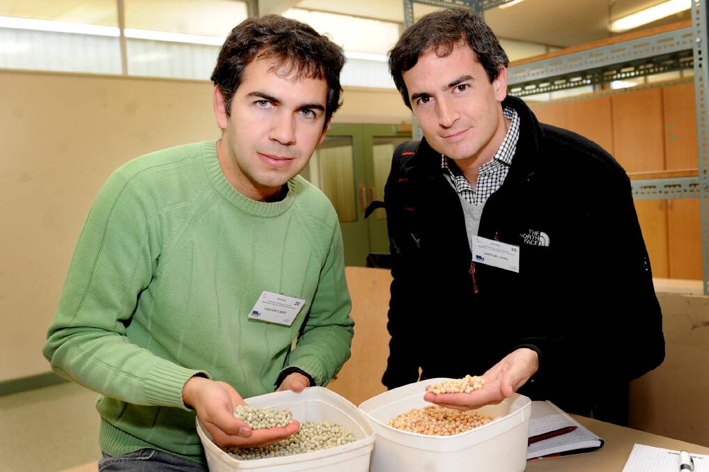 Argentinian pulse farmers Roberto Manso and Diego Guirao visited Horsham's Grains Innovation Park as part of a fact-finding mission into Australian legume growing. Picture: SAMANTHA CAMARRI