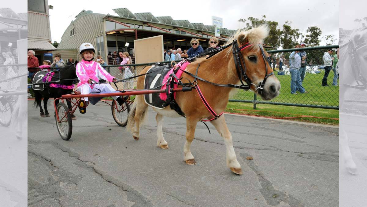 Reagan Clarke had the smallest horse in the pony cup at Horsham Pacing Cup. 