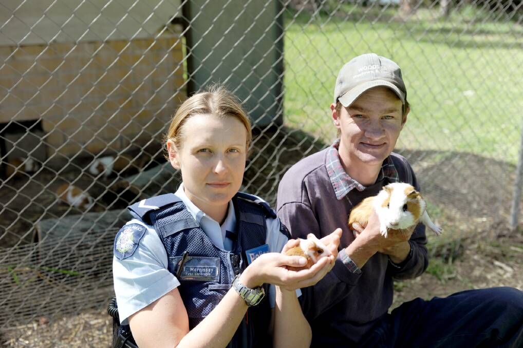 Warracknabeal First Constable Teilah Morrissey and Warracknabeal Lions Club Flora and Fauna committee member Malcolm Woods with some of the remaining guinea pigs after a theft from the park. Picture: SAMANTHA CAMARRI 