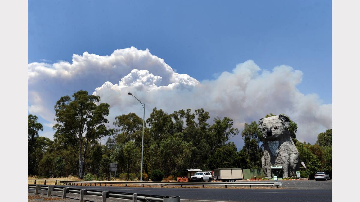 FRIDAY: Smoke from the Grampians fires rolls over the Giant Koala at Dadswells Bridge. Picture: PAUL CARRACHER
